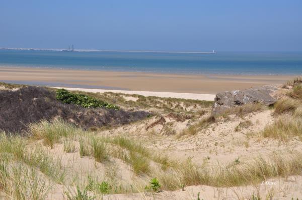 Banc des Flandres Dune et plage