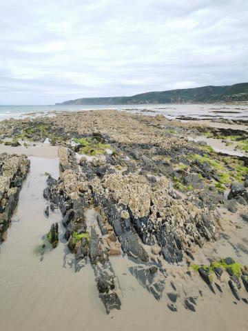Anse de Vauville – vue sur le nez de Jobourg depuis l’estran (Crédit photos : Karine Dedieu – OFB)